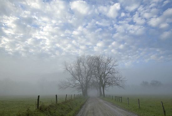 Fog;fresh;Clouds;National-Park;Trail;Trees;Road;Grass;Sky;Clean;Scenic;Scenic-Vi